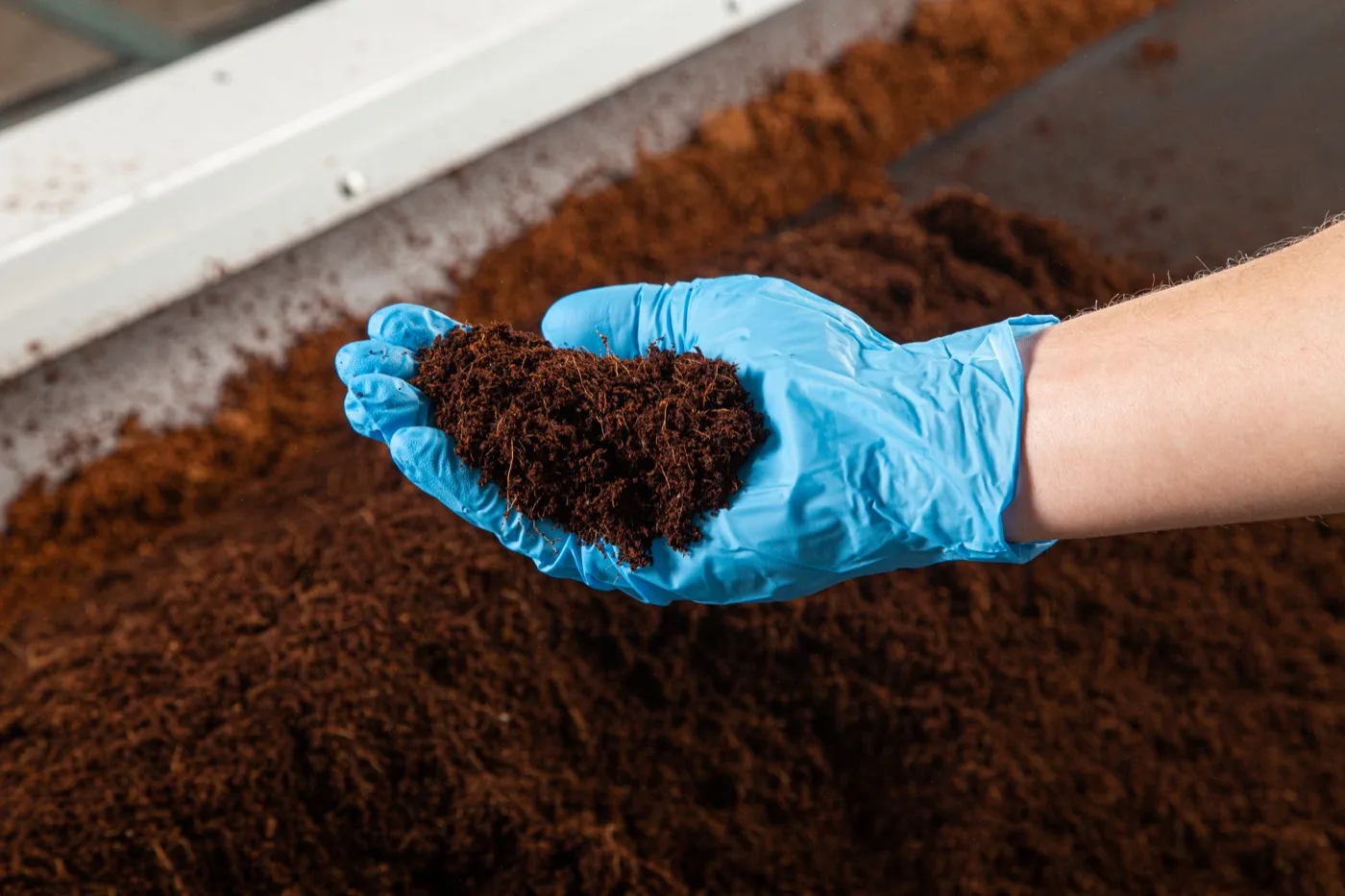 A grower's hand holding Rx Green buffered coco
